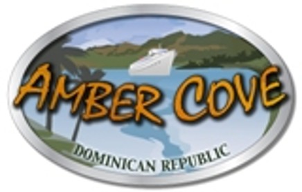AMBERCOVE - Create an Enticing Logo Display Website.AMBERCOVE