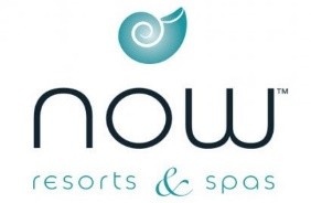NOW - Create an Enticing Logo Display Website.NOW